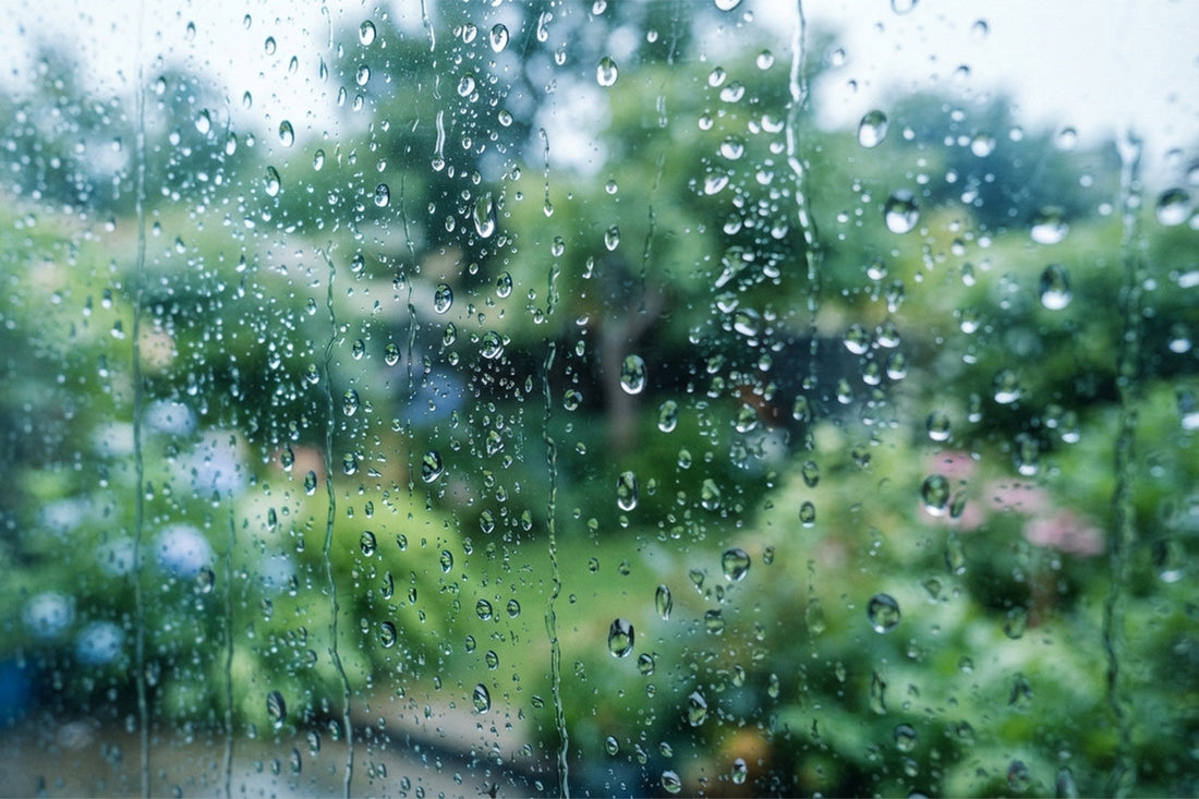 雨で濡れたグローブの乾かし方｜乾燥後の手入れとNG行動